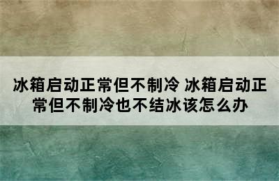 冰箱启动正常但不制冷 冰箱启动正常但不制冷也不结冰该怎么办